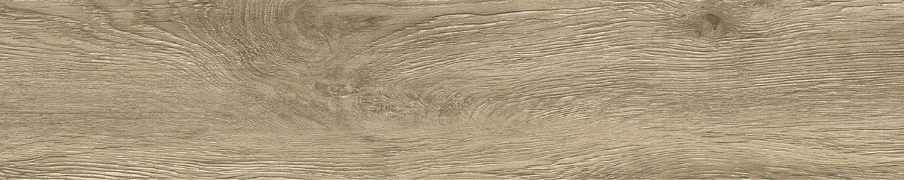 Дуб Бове/Oak Bouvet