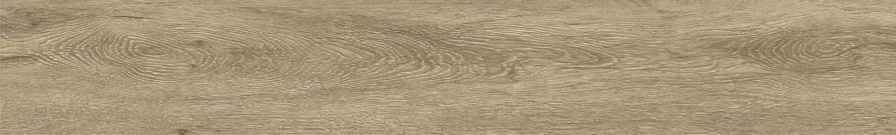 Дуб Фернан/Oak Fernan