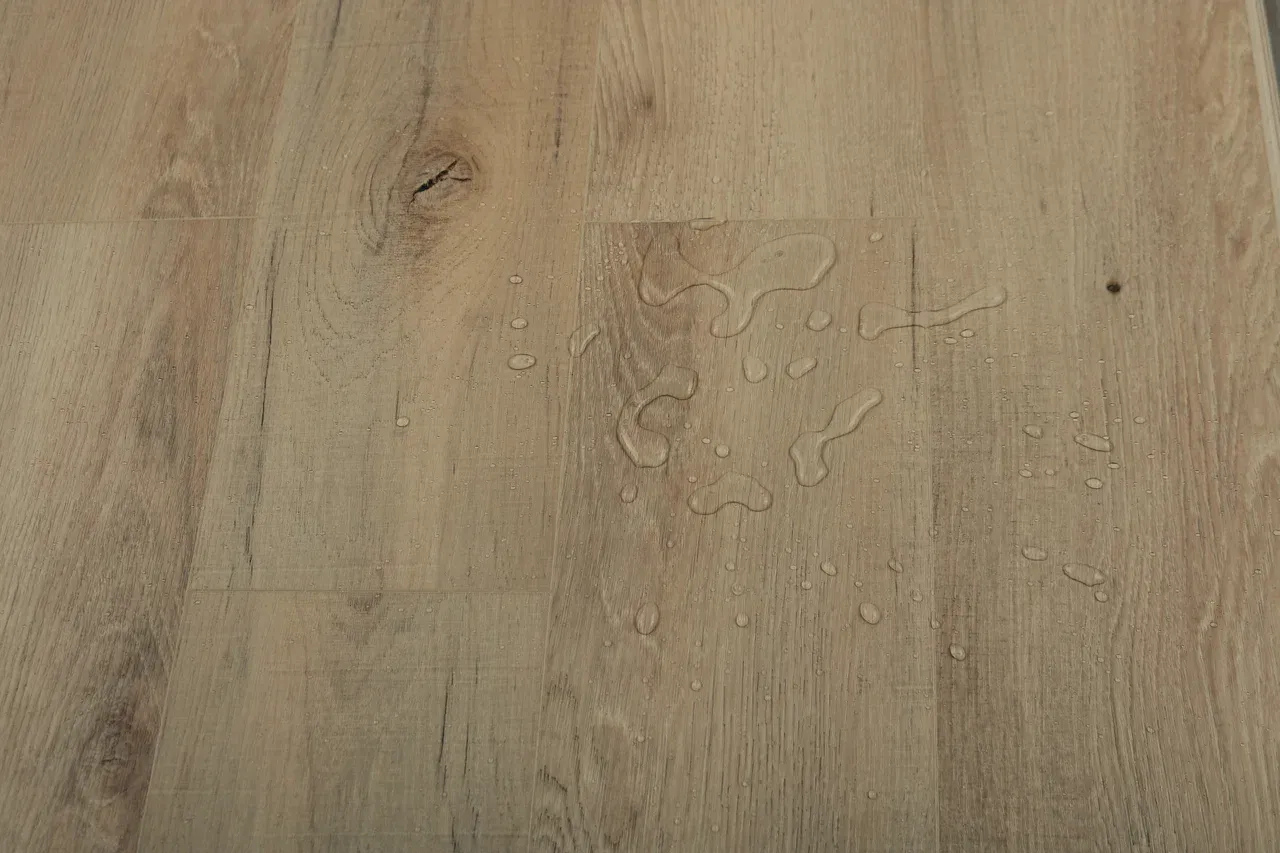 Дуб Кельвин/Oak Calvin