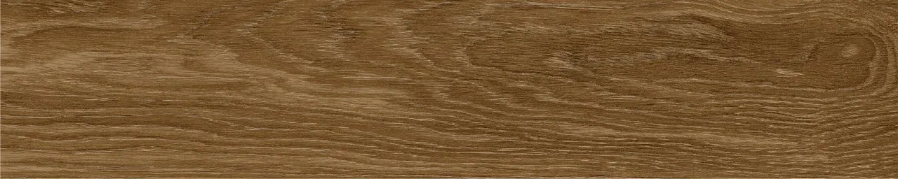 Дуб Оскар/Oak Oskar