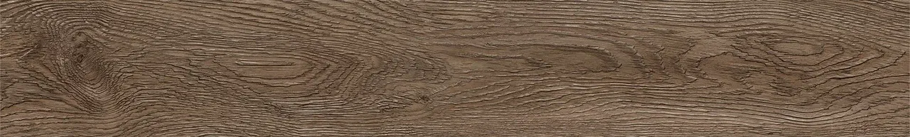 Дуб Америго/Oak Amerigo