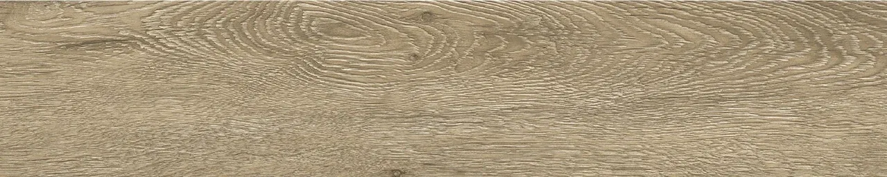 Дуб Бове/Oak Bouvet