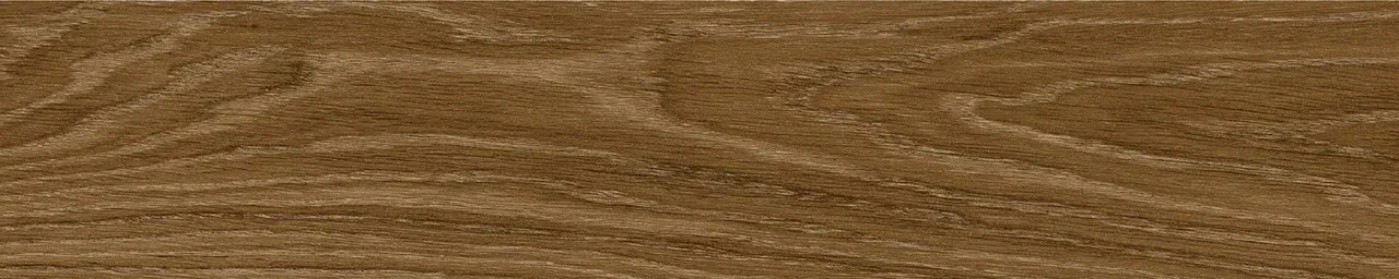 Дуб Оскар/Oak Oskar
