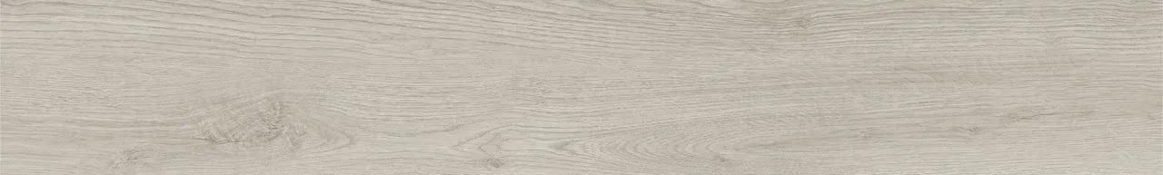 Дуб Виллем/Oak Willem