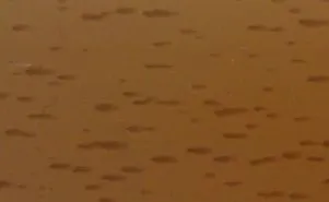 Угол арочный 25х12x2700мм бук