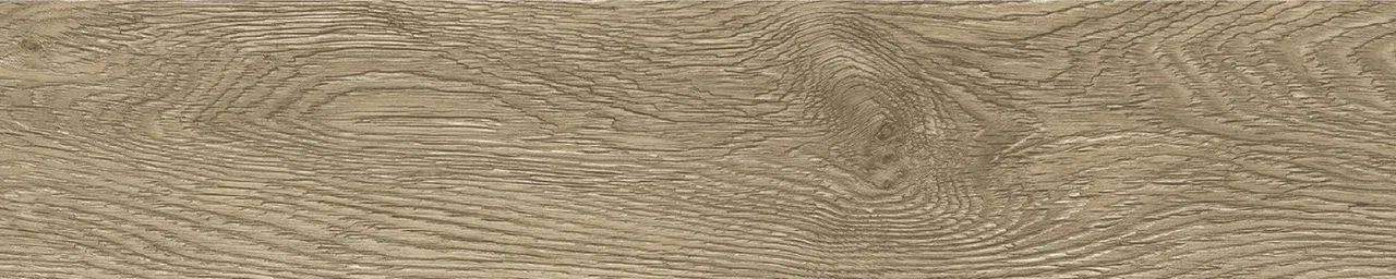 Дуб Бове/Oak Bouvet