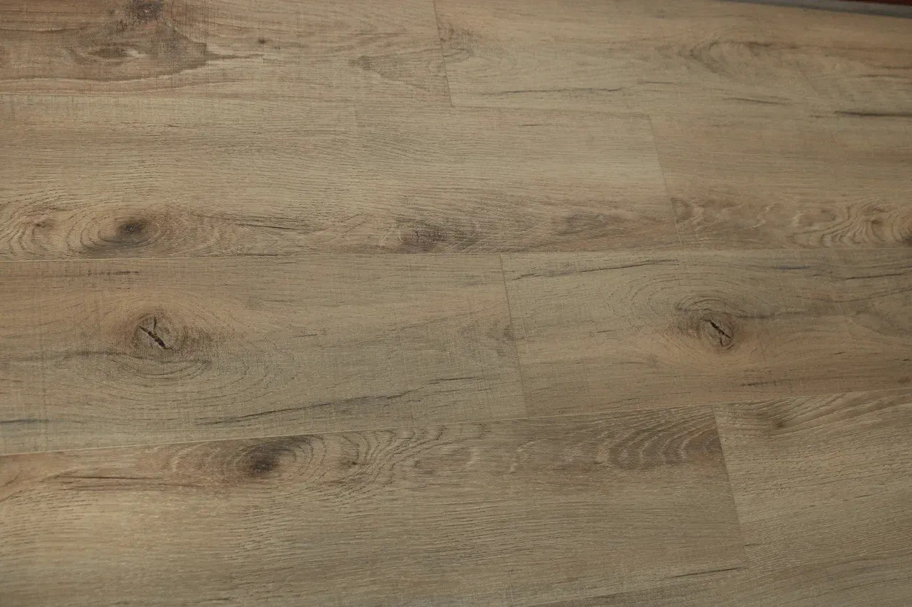 Дуб Кельвин/Oak Calvin