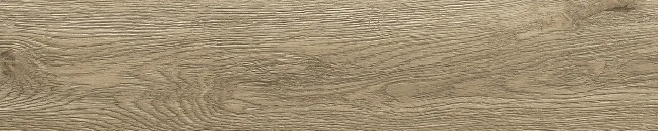 Дуб Бове/Oak Bouvet