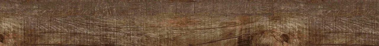 Дуб Джанни/Oak Gianni