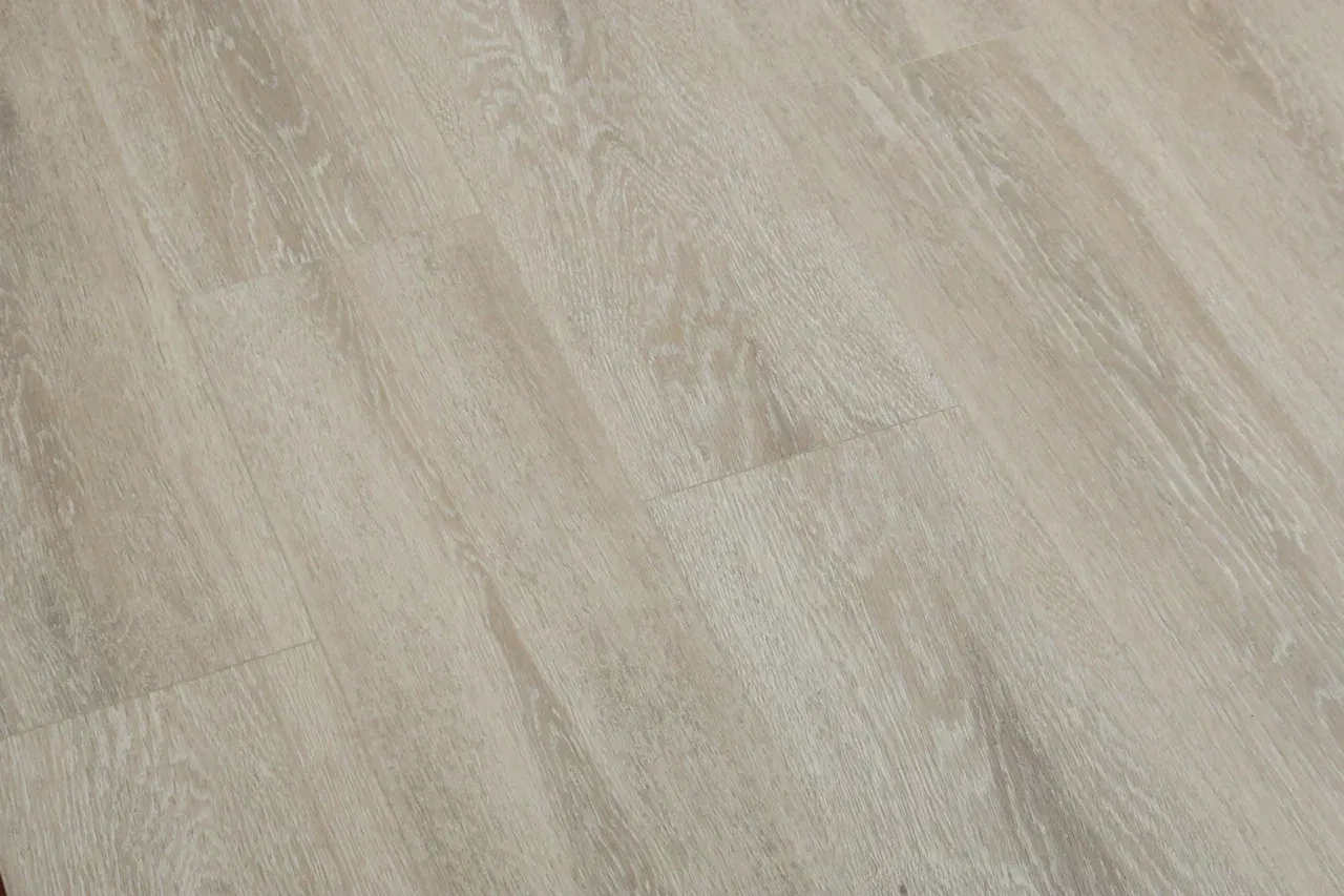  Дуб Христофор/Oak Christofor
