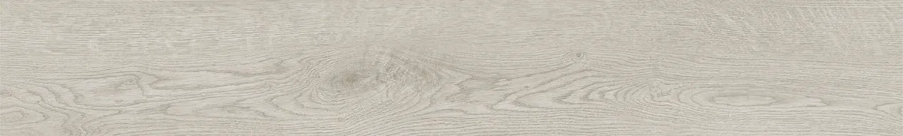Дуб Виллем/Oak Willem
