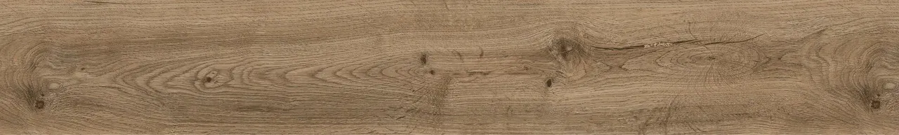Дуб Торрес/Oak Torres