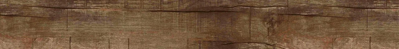 Дуб Джанни/Oak Gianni