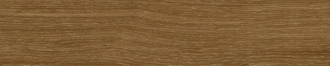 Дуб Оскар/Oak Oskar