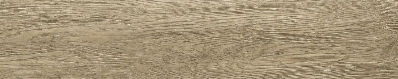 Дуб Бове/Oak Bouvet