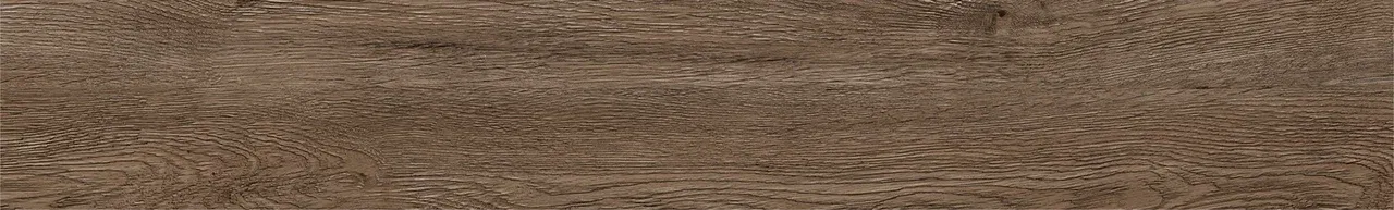 Дуб Америго/Oak Amerigo