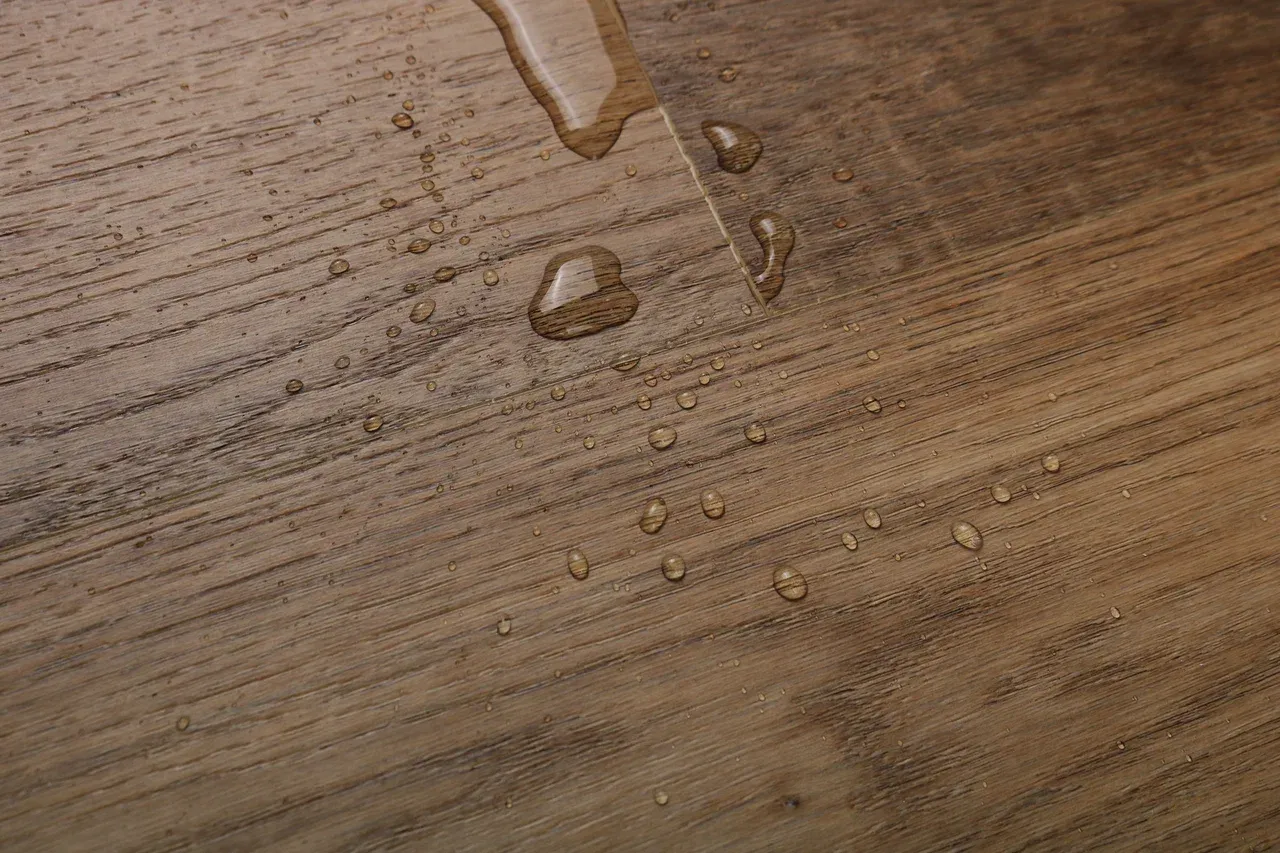 Дуб Вествуд/Oak Westwood