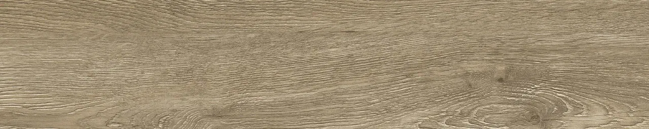 Дуб Бове/Oak Bouvet
