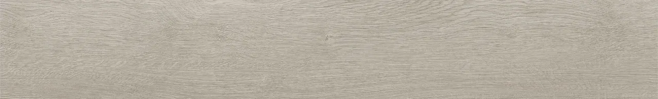 Дуб Виллем/Oak Willem