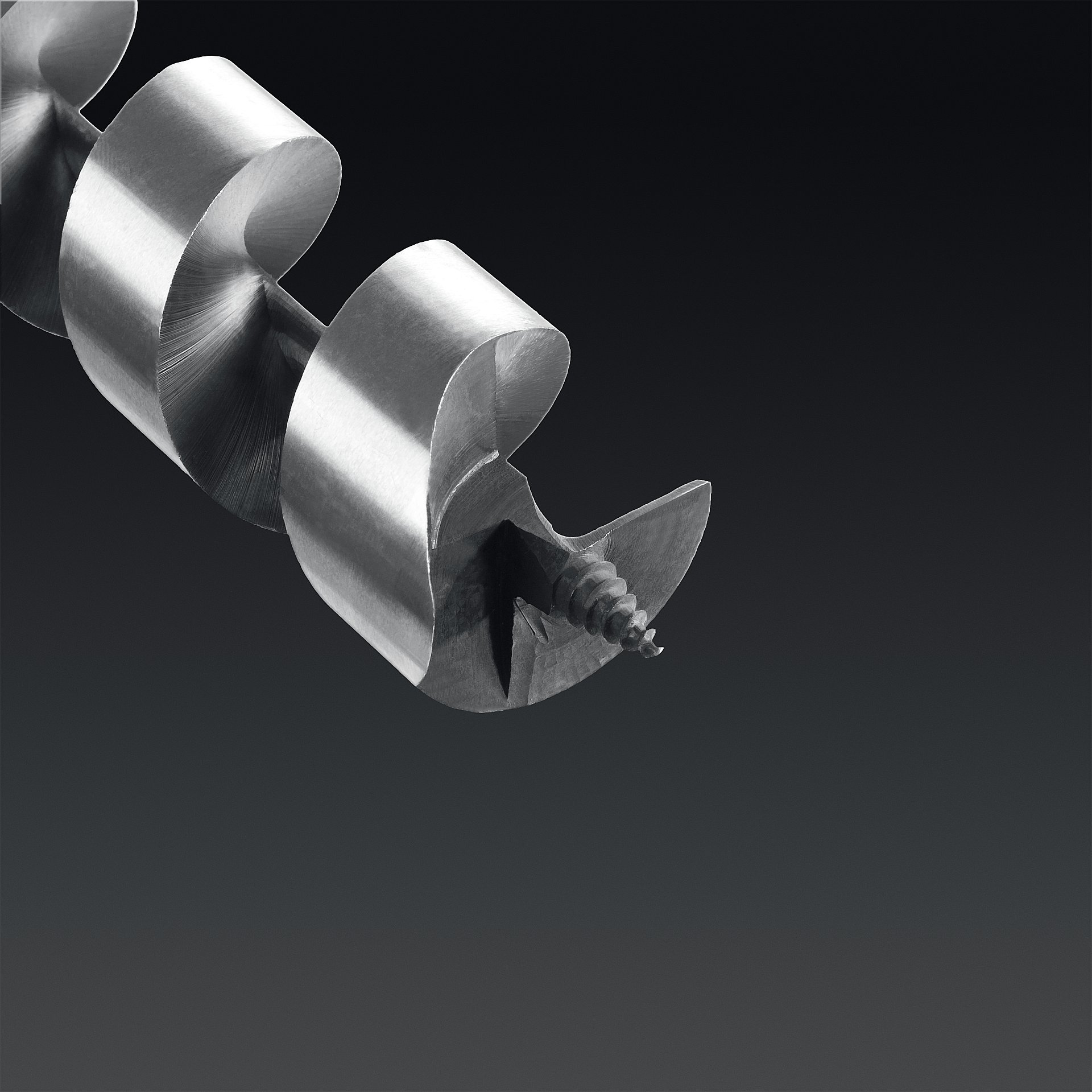 ЗУБР 30 x 235/160 мм, шестигранный хвостовик, сверло левиса по дереву, Профессионал (2948-235-30)