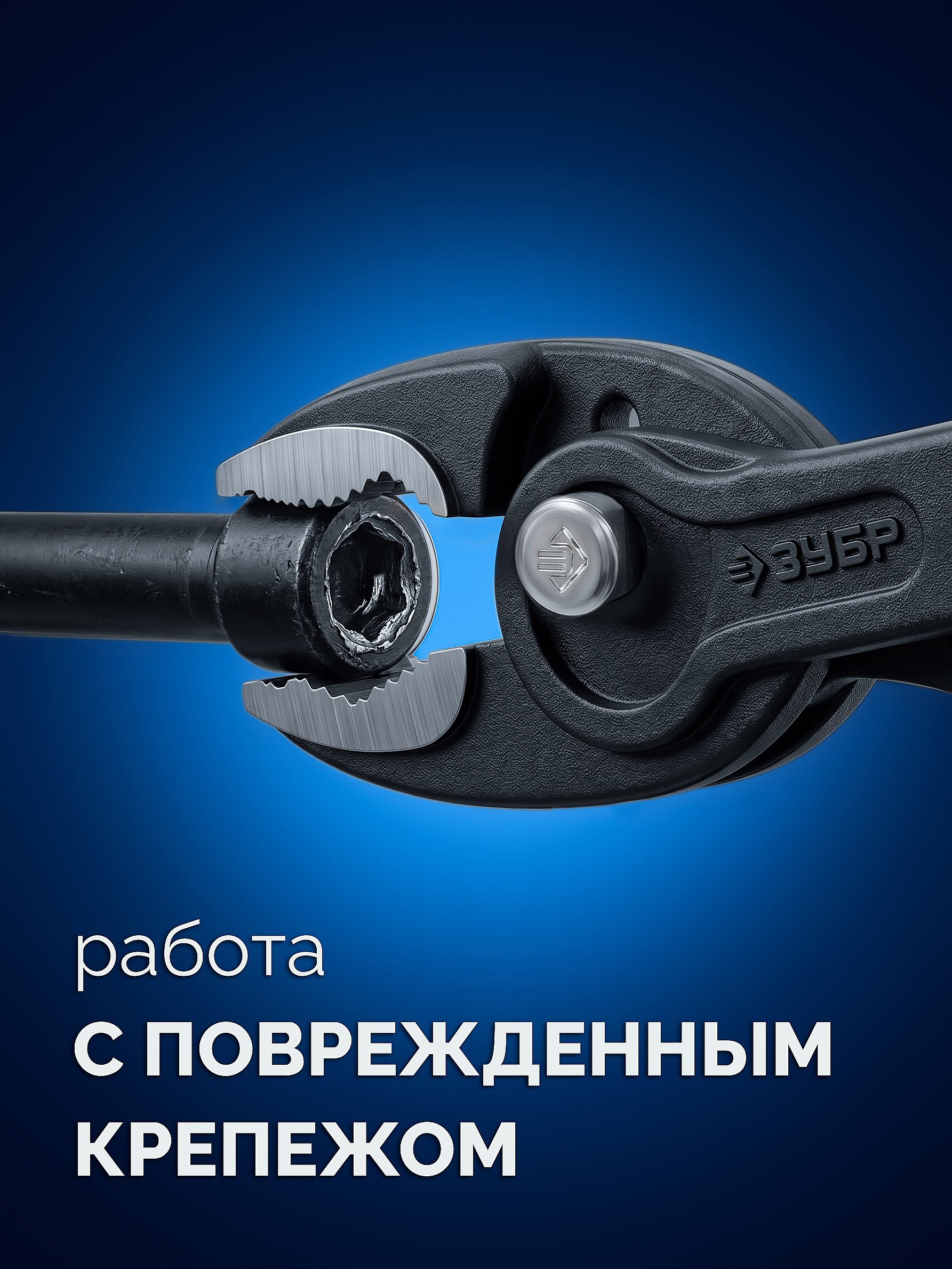 ЗУБР ЗАХВАТ-2, 200 мм, клещи захватные, Профессионал (22442-20)