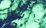Порог алюминиевый  А-10 100х3,5x1800 мм, Зеленый мрамор