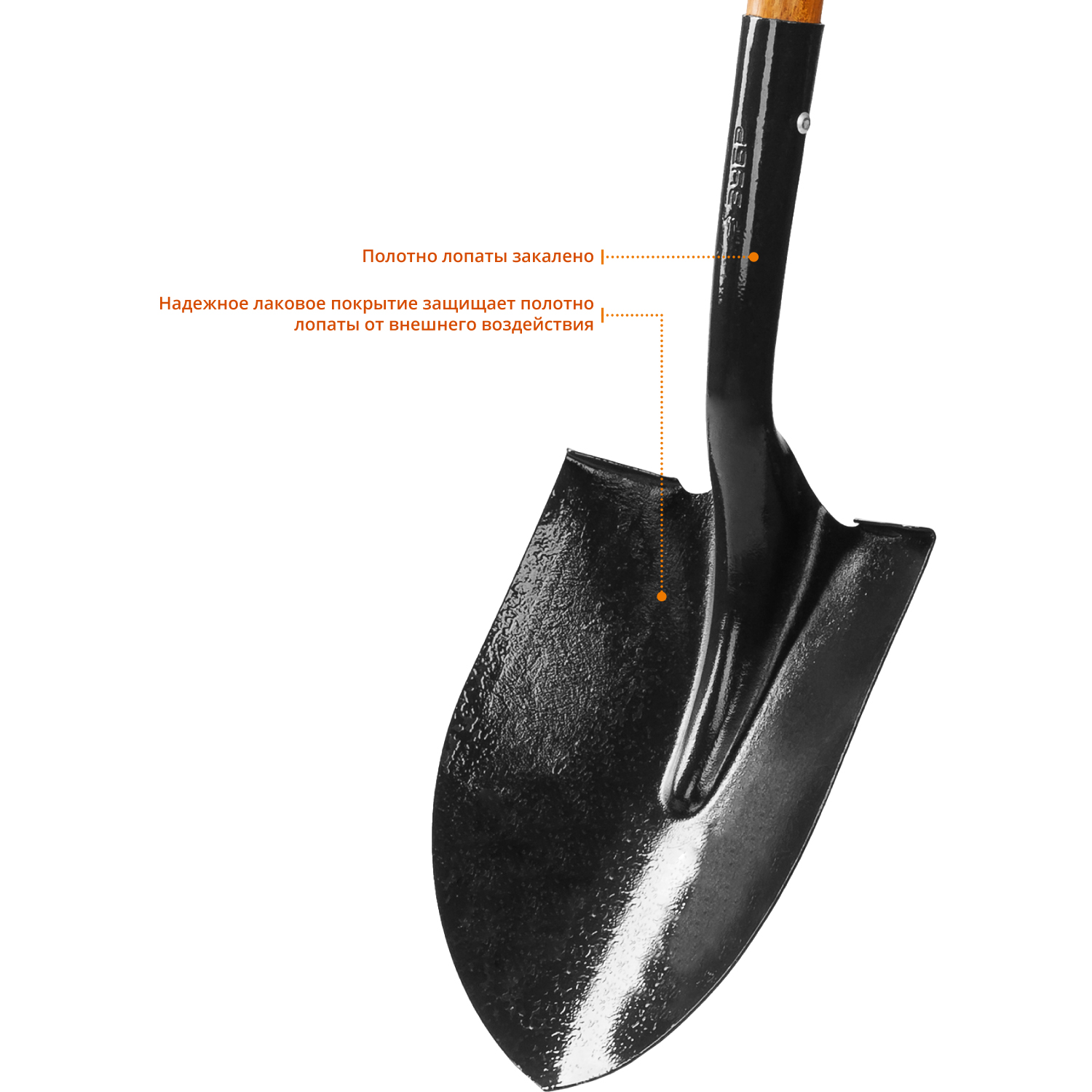 ЗУБР Профи-10, 150 см, деревянный черенок из дуба, штыковая лопата, тип ЛСГ, закаленное полотно, Профессионал (4-39529)
