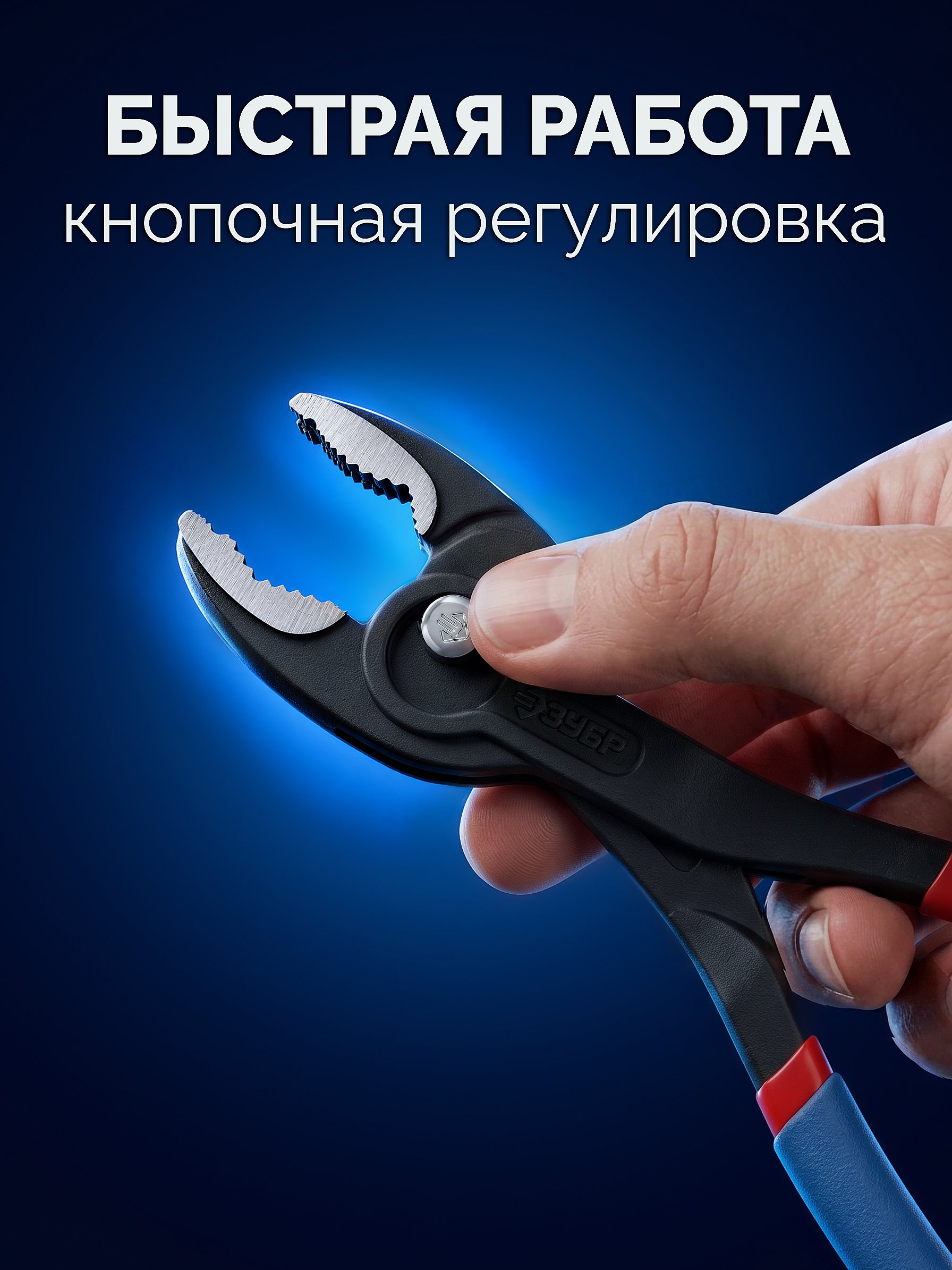 ЗУБР ЗАХВАТ-2, 200 мм, клещи захватные, Профессионал (22442-20)