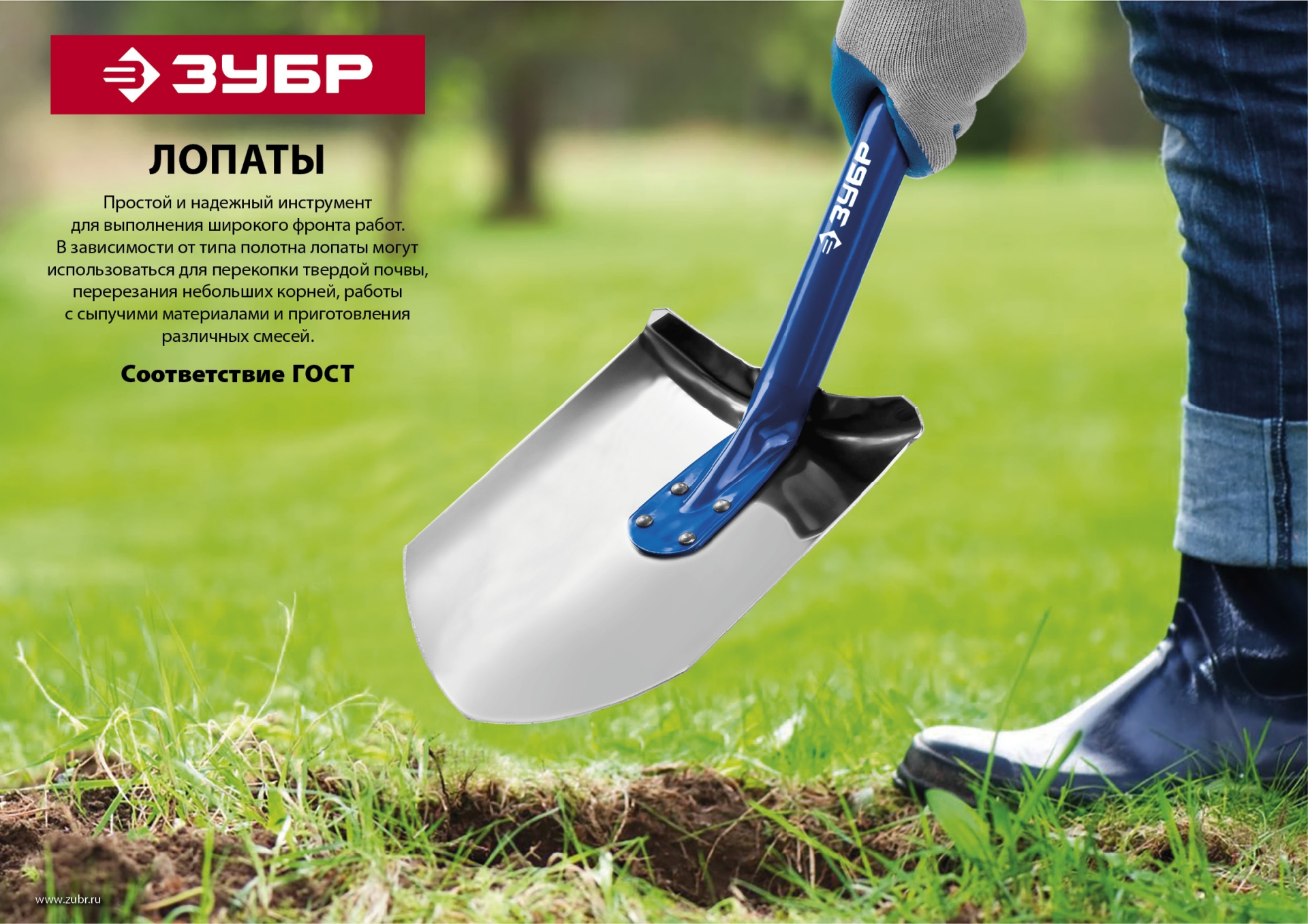 ЗУБР Фаворит, 145 см, деревянный лакированный черенок в/с, совковая лопата, тип ЛСП, закаленное полотно, Профессионал (4-39521)