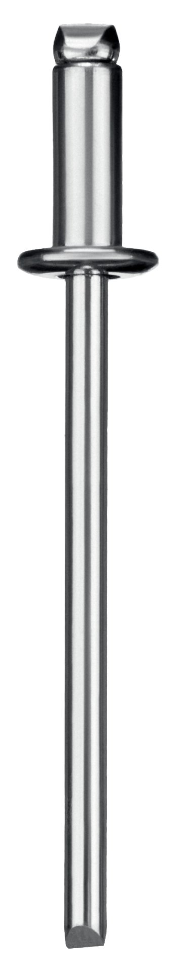 ЗУБР 4.0 x 12 мм, 50 шт, стальные заклепки, Профессионал (313126-40-12)