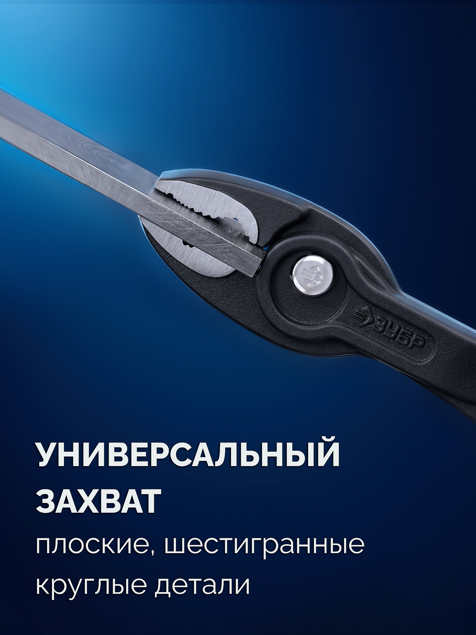 ЗУБР ЗАХВАТ-2, 200 мм, клещи захватные, Профессионал (22442-20)