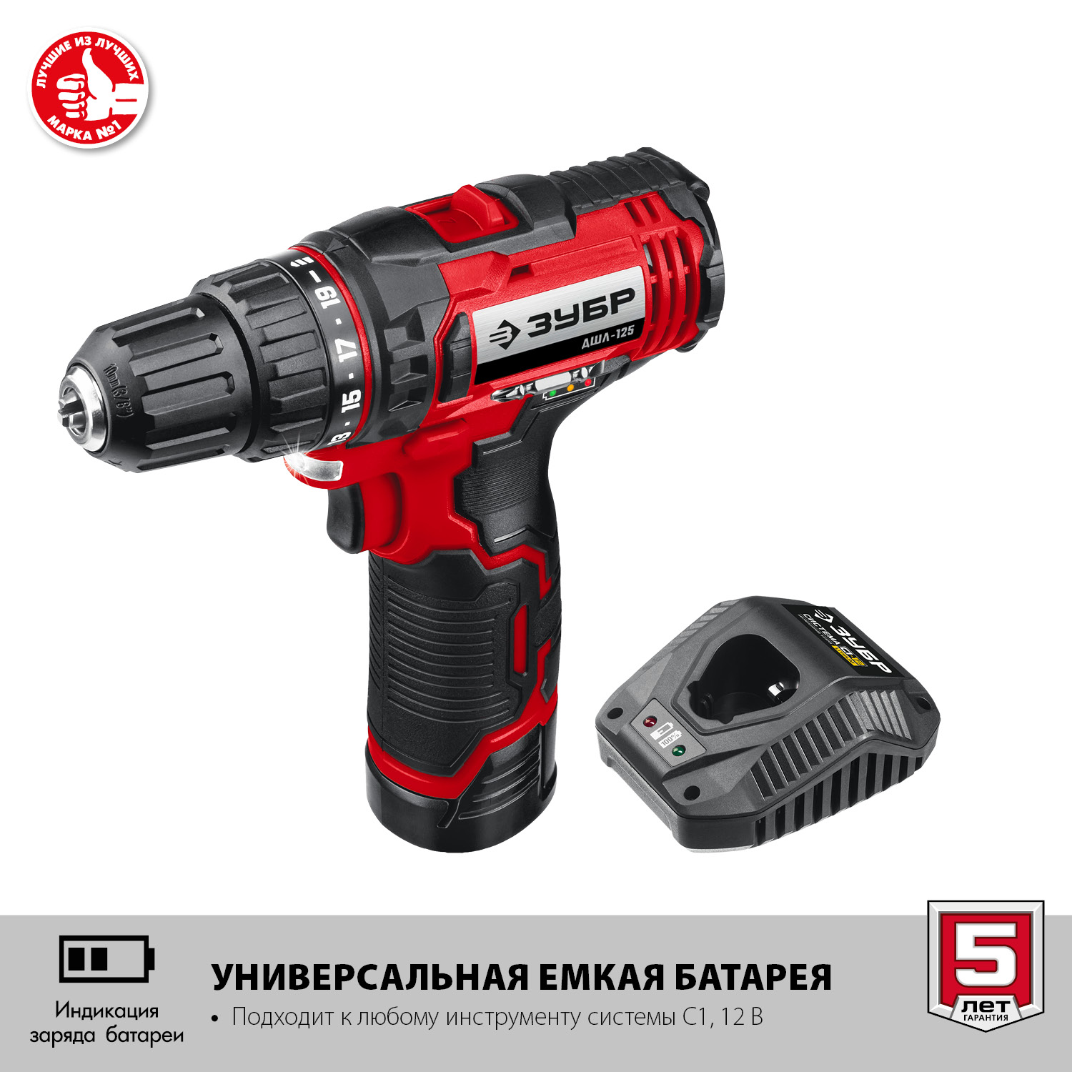 ЗУБР С1-12, 12 В, 30 Н·м, 2 АКБ (2 А·ч), дрель-шуруповерт, кейс (ДШЛ-125-22)