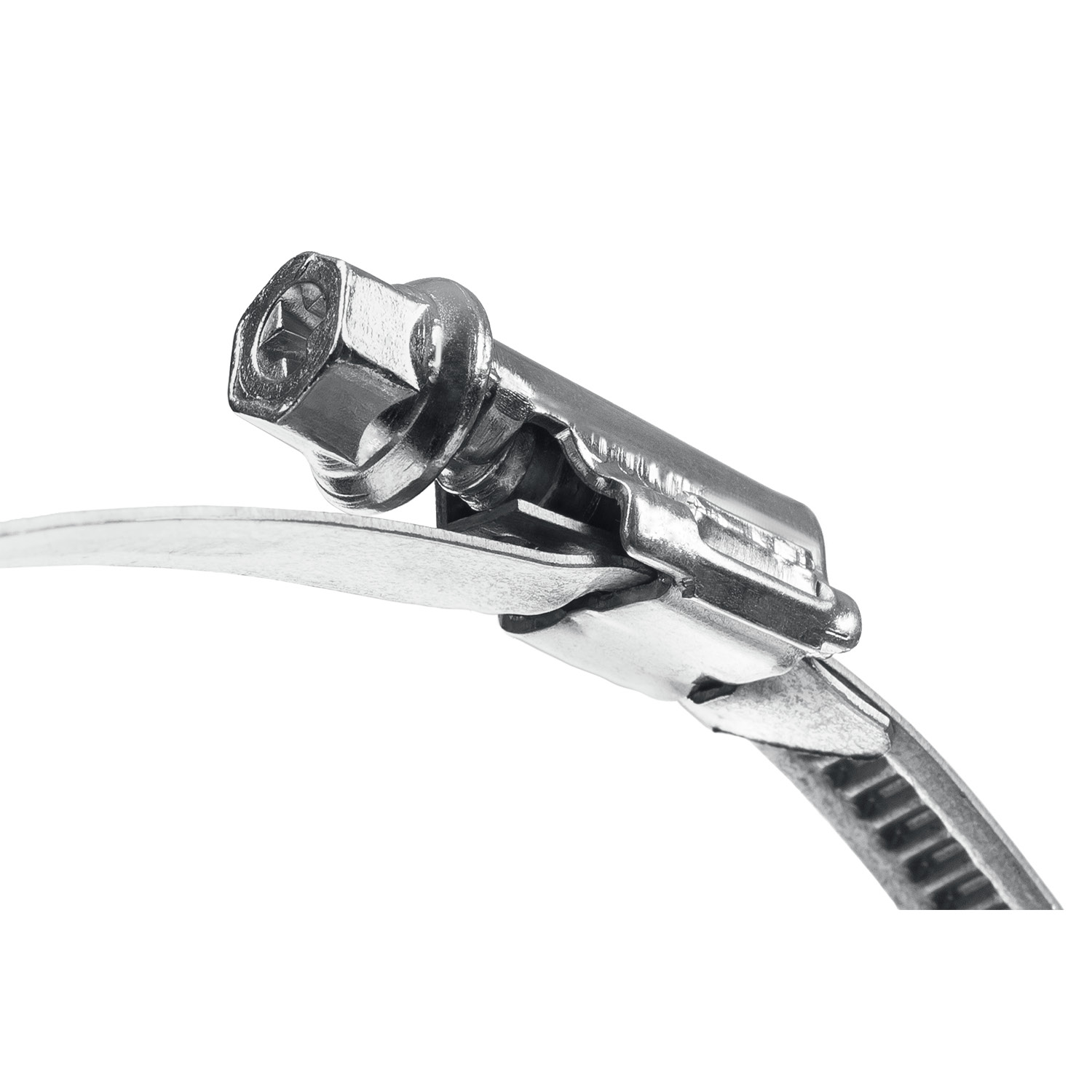 ЗУБР Х-9Н, 25 - 40 мм, накатная лента 9 мм, цинк, 50 шт, червячный хомут (37807-40)