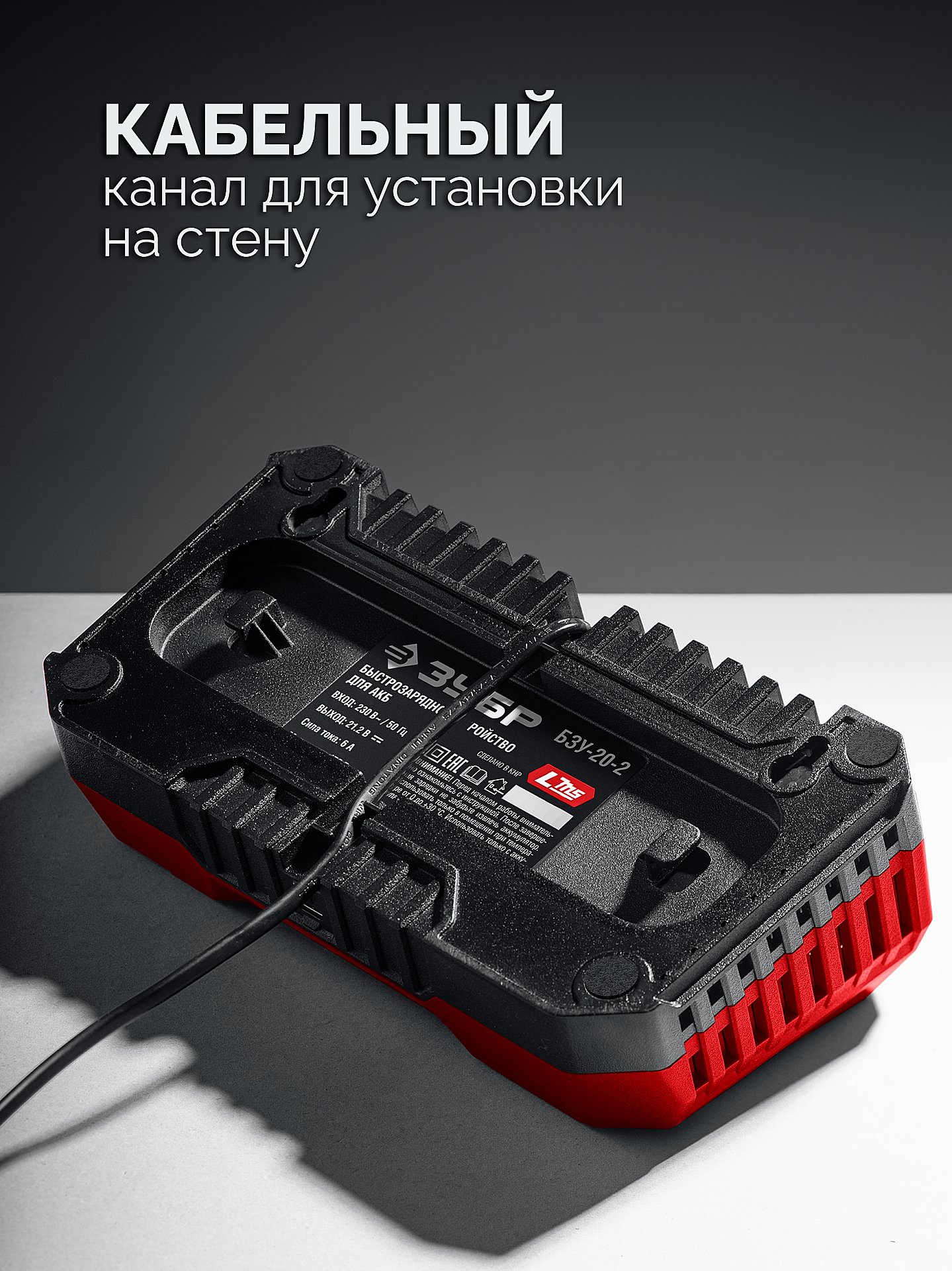 ЗУБР 20 В, 2 порта, 2 х 3 А, зарядное устройство для LMS АКБ (БЗУ-20-2)