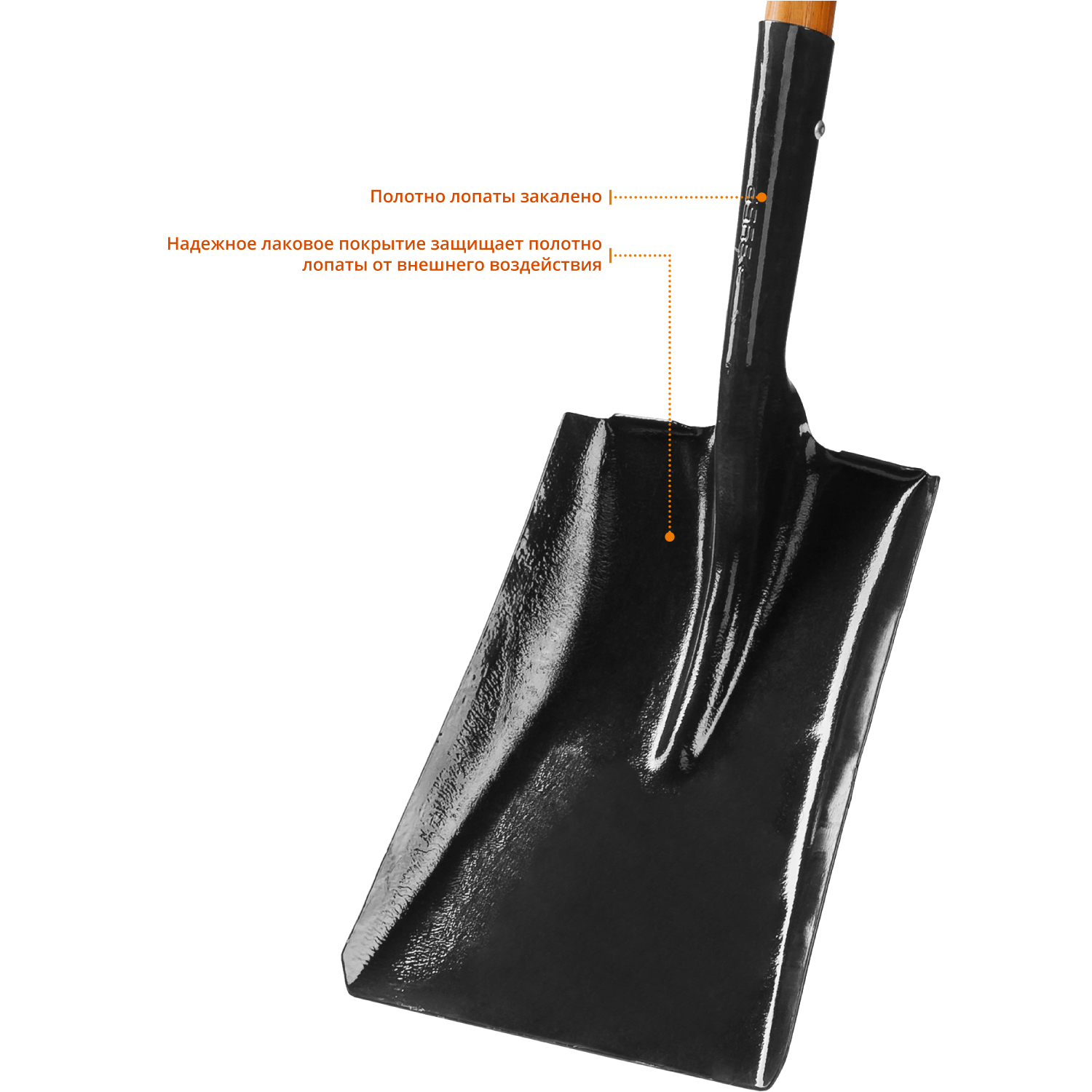 ЗУБР Профи-10, 320 х 250 х 1500 мм, полотно 1.7 мм закалено, черенок из дуба высш. сорта, тип ЛСП, совковая лопата, Профессионал (39361)