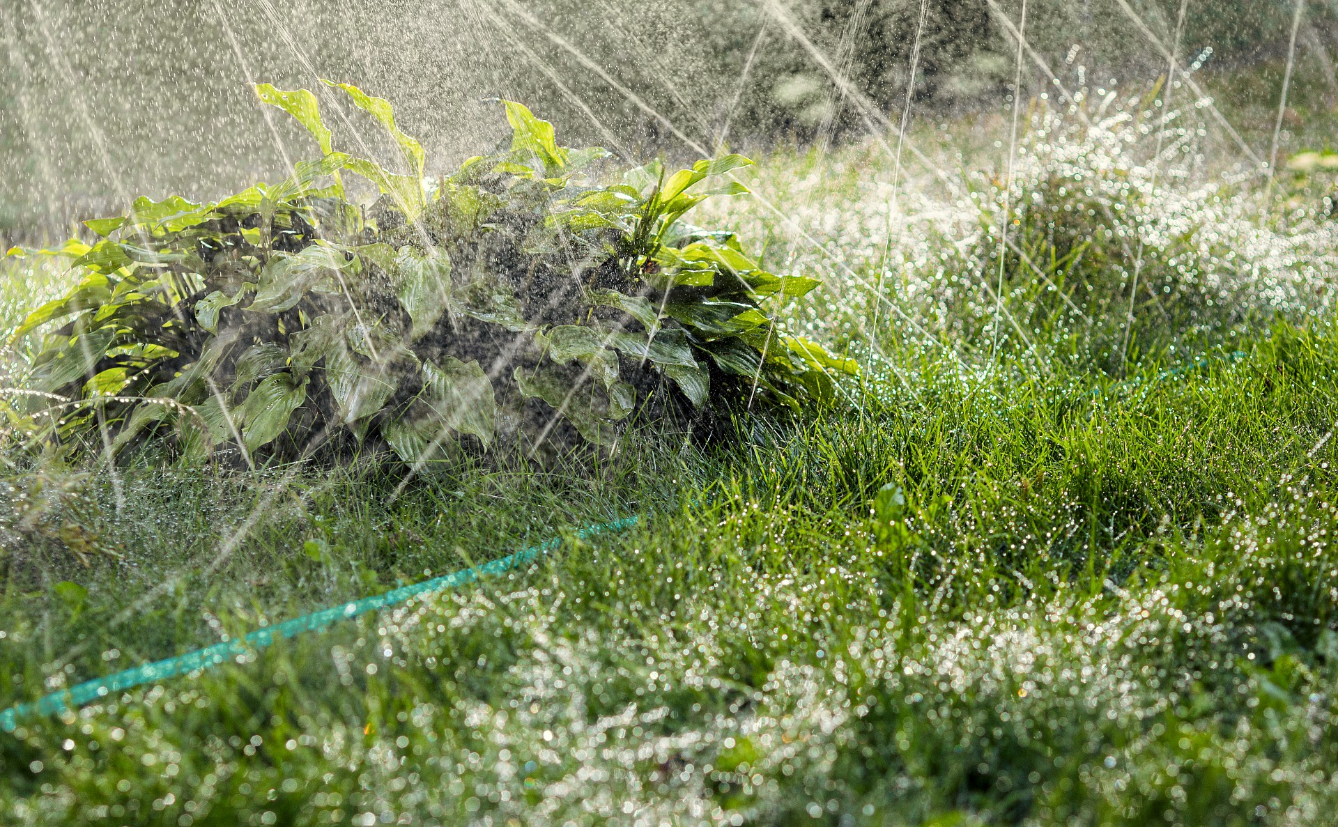 GRINDA S-7, 7.5 м, микроперфорация, шланг-дождеватель, PROLine (8-429015-7)