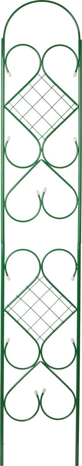 Арки и шпалеры