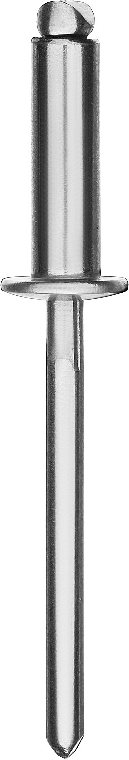 KRAFTOOL Inox, 6.4 x 12 мм, 250 шт, нержавеющие заклепки (311705-64-12)