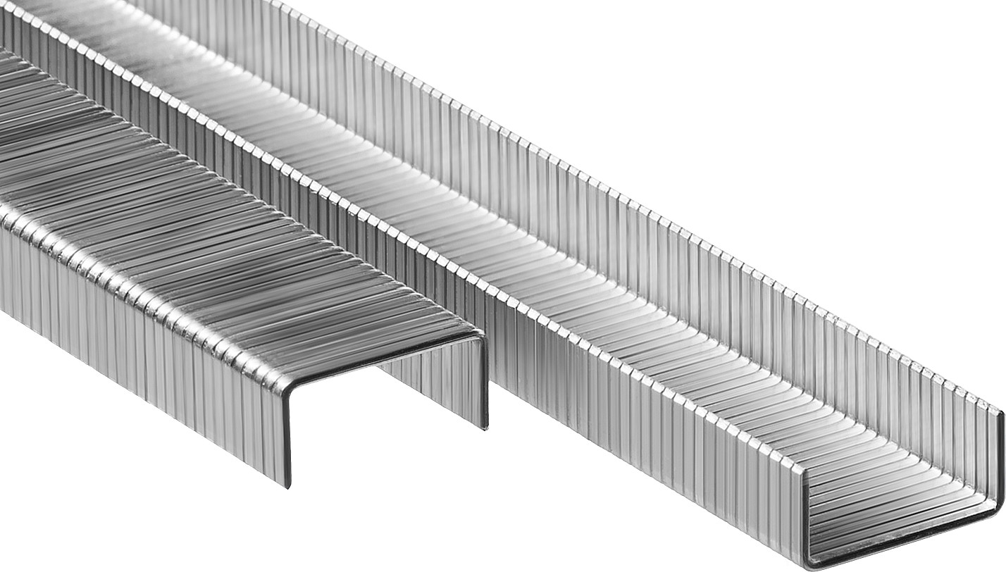 ЗУБР скобы тип 80 (BeA/Prebena A/Senco AT), 6 мм, калибр 21GA. 5000 шт. Профессионал (31880-06)