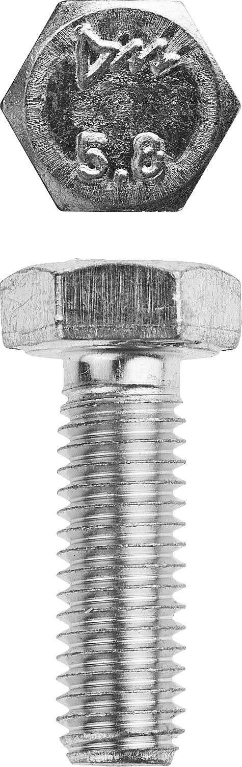 ЗУБР ГОСТ 7798-70, кл. пр. 5.8, M8 х 30 мм, цинк, 5 кг, болт (303080-08-030)