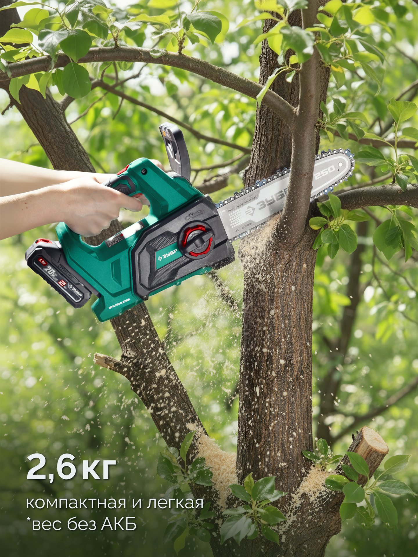 ЗУБР 20 В, 250 мм шина, 1 АКБ LMS (2 Ач), пила цепная аккумуляторная (ПЦБ-2025-21)